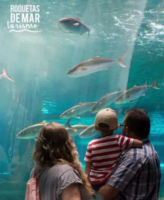 Clientes alojados en The sea you dream of Roquetas de Mar