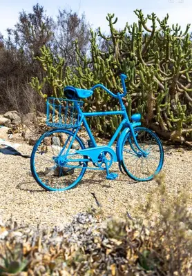 Montar en bicicleta en Finca Mamaflo o alrededores