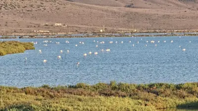 Paisaje cerca de este apartamento
