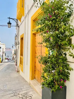 El barrio de los alrededores o un barrio cerca de esta casa o chalet
