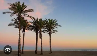 Paisaje cerca de este apartamento