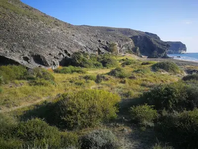 Paisaje cerca de este apartamento