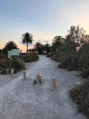 Paisaje cerca de este apartamento