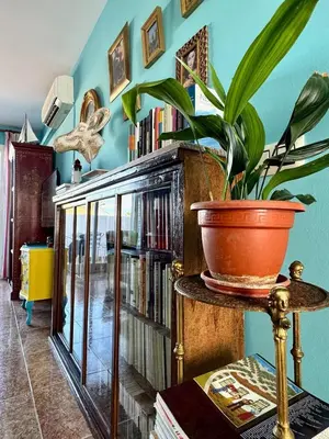 Biblioteca en el apartamento