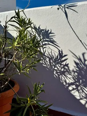 Jardín al aire libre en La Nave De Los Locos - Apartment