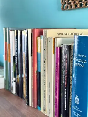Biblioteca en el apartamento