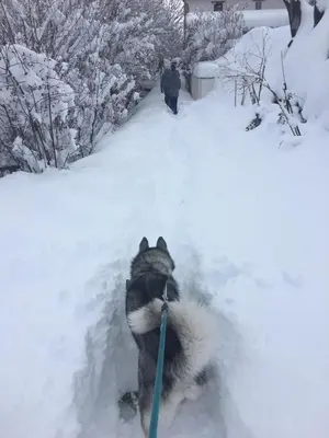 Molino Felix Alojamiento Rurales en invierno