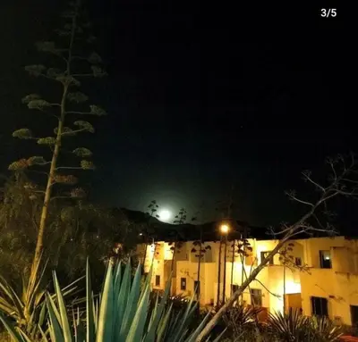 Plano de Casa Jade