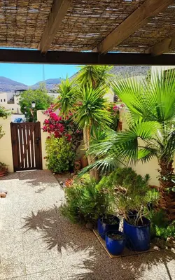 Jardín al aire libre en Casa Eck San Jose