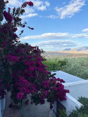 Paisaje cerca de esta villa