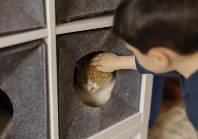 Mascotas con sus dueños en Casa Charly
