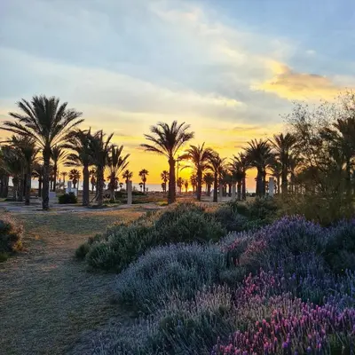 Jardín al aire libre en Apto PLAYA SOL y MAR, Retamar, Cabo de Gata