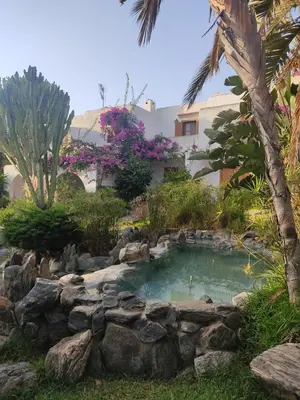 Jardín al aire libre en VERA BEACH - Beachside with pool, wifi and AC