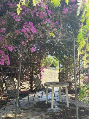 Jardín al aire libre en Casa PAYA ex casa Benedict