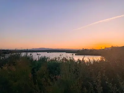Paisaje cerca de este apartamento
