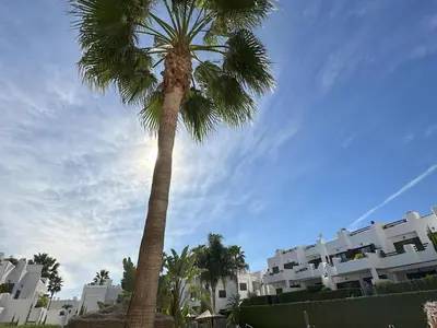 Plano de Apartamento acogedor a 200m de la playa con jardín comunitario - ES-376-10