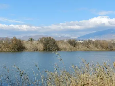 Paisaje cerca de este apartamento