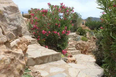 Paisaje cerca de este bed & breakfast
