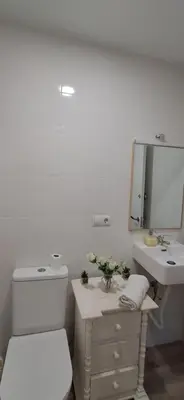 Un baño de Pavía