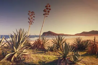 Paisaje cerca de esta habitación en casa particular