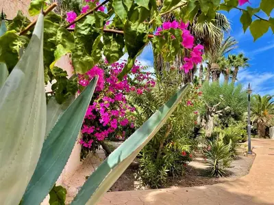 Jardín al aire libre en Golf & Beachside Getaway