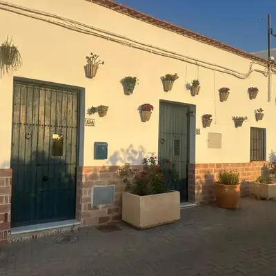 FlorCactus