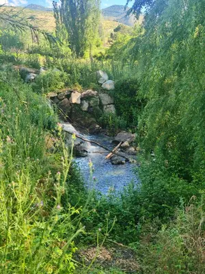 Paisaje cerca de este apartamento