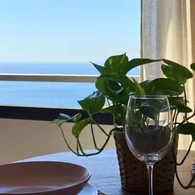 A paradise with sea views