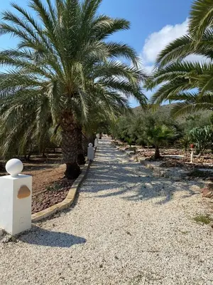 Jardín al aire libre en Olivos y Playa