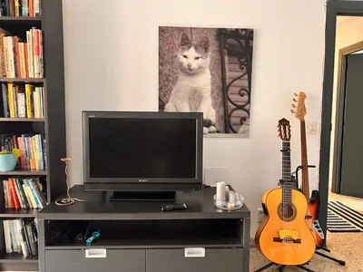 Una televisión o centro de entretenimiento en La Casa del Musico 3