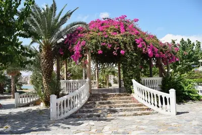 Jardín al aire libre en Alojamiento Oasis Playa