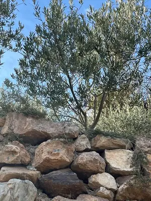 Paisaje cerca de esta casa o chalet