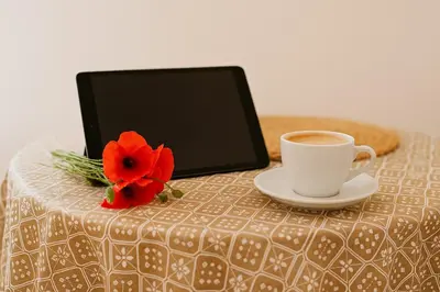 Utensilios para hacer té y café en Palma79-Kira