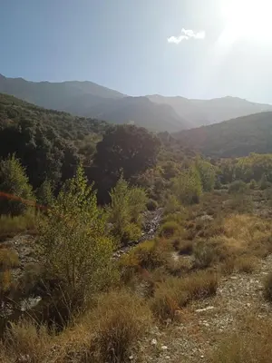 Paisaje cerca of this country house