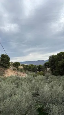 Paisaje cerca de este apartamento