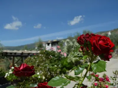 Paisaje cerca de esta casa o chalet