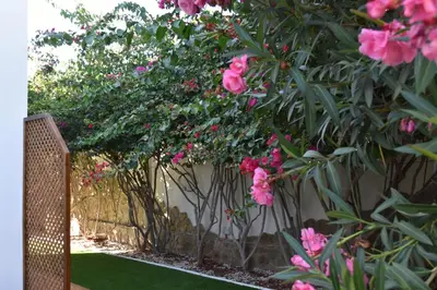 Jardín al aire libre en Resort Villa Las Palmeras