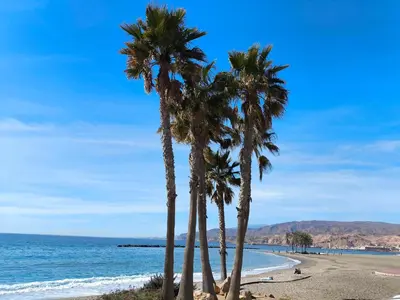 Paisaje cerca de este apartamento