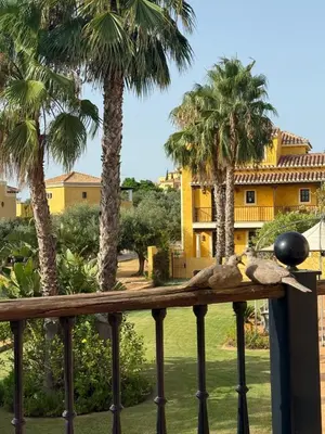 Jardín al aire libre en Desert Springs Resort Golf y piscina duplex exclusivo