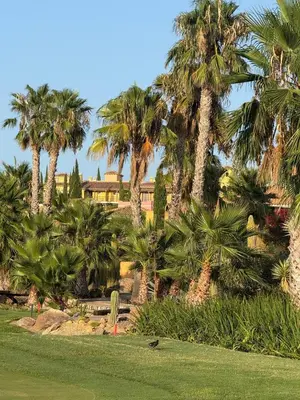 Jardín al aire libre en Desert Springs Resort Golf y piscina duplex exclusivo