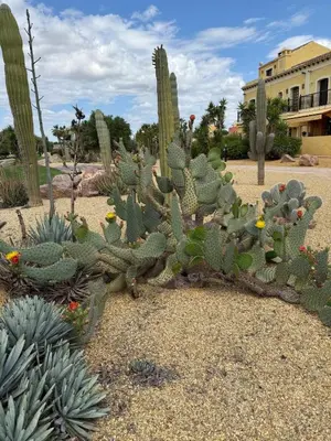 Plano de Desert Springs Resort Golf y piscina duplex exclusivo