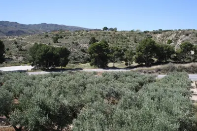 Paisaje cerca de este bed & breakfast