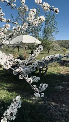 Paisaje cerca de esta casa o chalet