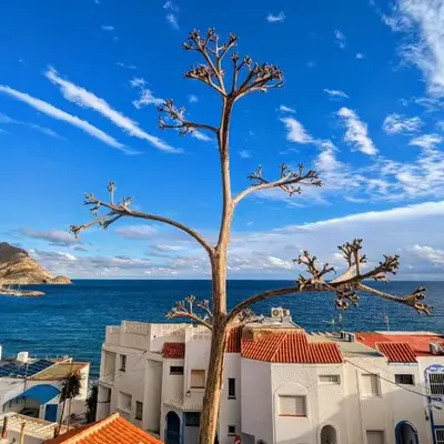 Casa Varykino - Terraza con Vistas al Mar - 100 Metros de la Playa