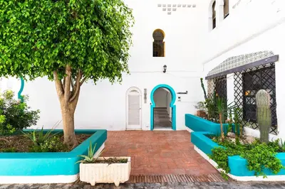 Jardín al aire libre en Albaida Penthouse