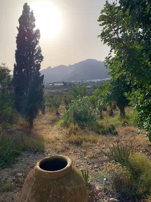 Paisaje cerca de este apartamento