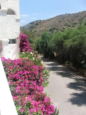 Paisaje cerca de este apartamento