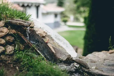 Jardín al aire libre en Casas Cueva Tio Tobas Guadix