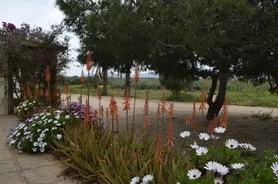 Jardín al aire libre en Cortijo La Molina de Cabo de Gata