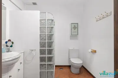 Un baño de Caballo de Mar Frison Cabo de Gata